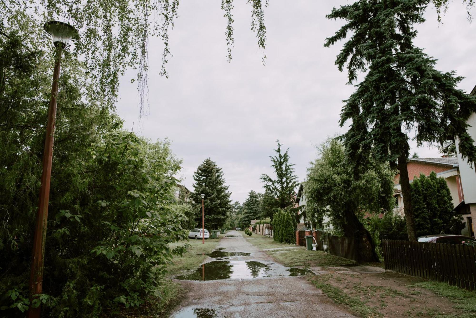 Buba Ii